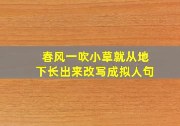 春风一吹小草就从地下长出来改写成拟人句