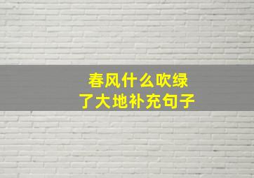 春风什么吹绿了大地补充句子