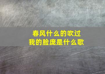 春风什么的吹过我的脸庞是什么歌