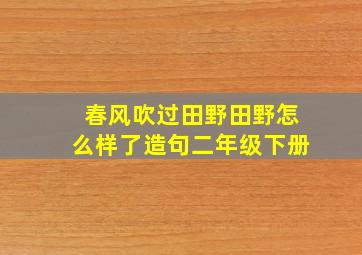 春风吹过田野田野怎么样了造句二年级下册