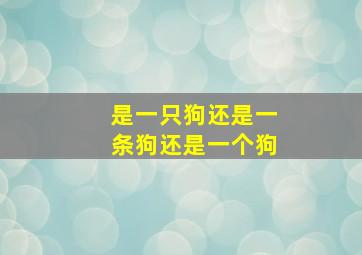 是一只狗还是一条狗还是一个狗