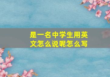 是一名中学生用英文怎么说呢怎么写