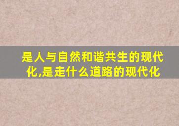 是人与自然和谐共生的现代化,是走什么道路的现代化