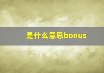 是什么意思bonus