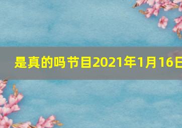 是真的吗节目2021年1月16日