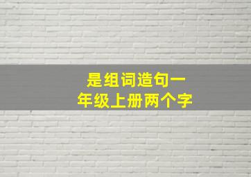 是组词造句一年级上册两个字