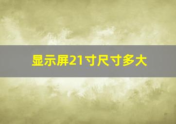 显示屏21寸尺寸多大