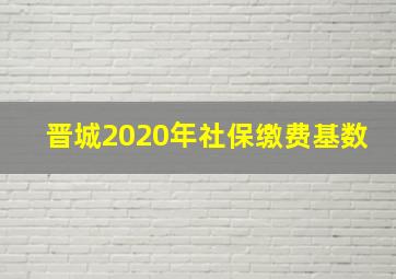 晋城2020年社保缴费基数