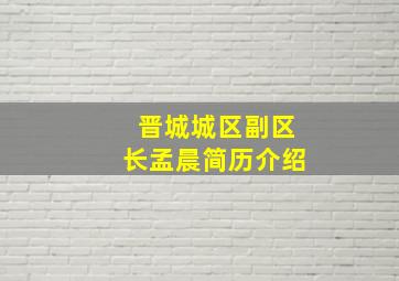 晋城城区副区长孟晨简历介绍