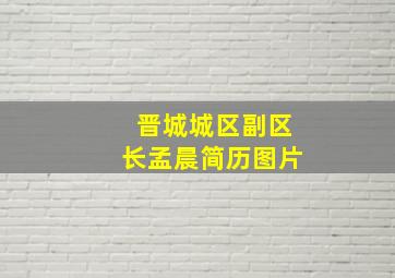 晋城城区副区长孟晨简历图片