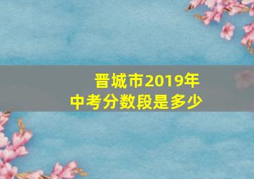 晋城市2019年中考分数段是多少