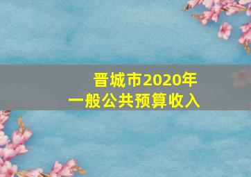 晋城市2020年一般公共预算收入