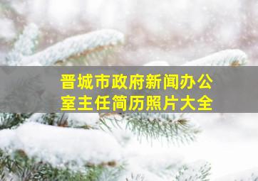 晋城市政府新闻办公室主任简历照片大全