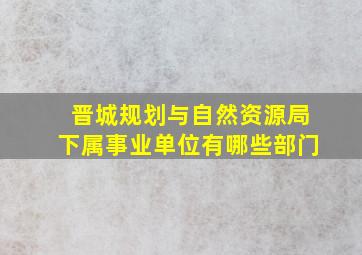 晋城规划与自然资源局下属事业单位有哪些部门