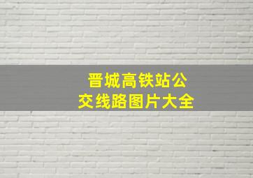 晋城高铁站公交线路图片大全