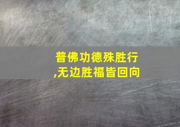 普佛功德殊胜行,无边胜福皆回向