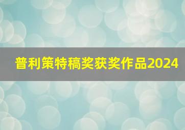 普利策特稿奖获奖作品2024