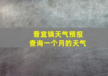 普宜镇天气预报查询一个月的天气