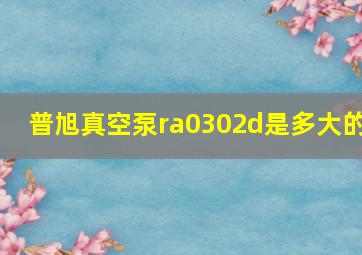 普旭真空泵ra0302d是多大的