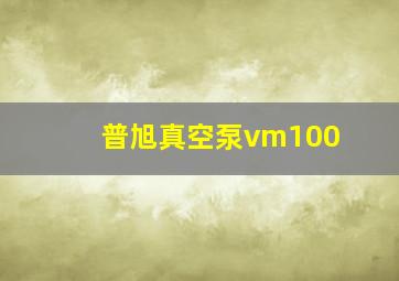 普旭真空泵vm100