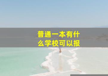 普通一本有什么学校可以报