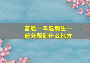 普通一本选调生一般分配到什么地方