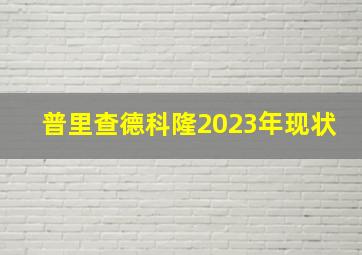 普里查德科隆2023年现状