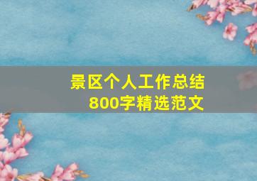 景区个人工作总结800字精选范文