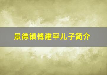 景德镇傅建平儿子简介