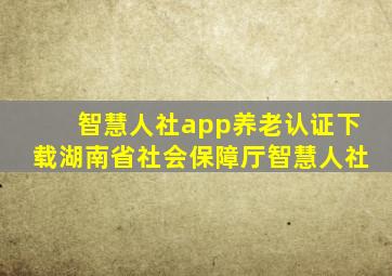 智慧人社app养老认证下载湖南省社会保障厅智慧人社