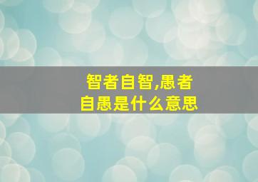 智者自智,愚者自愚是什么意思