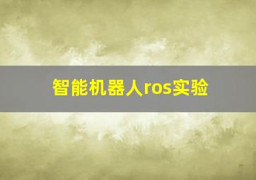 智能机器人ros实验