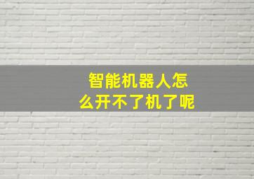 智能机器人怎么开不了机了呢