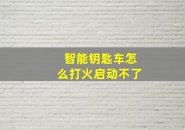 智能钥匙车怎么打火启动不了