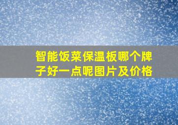 智能饭菜保温板哪个牌子好一点呢图片及价格