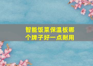 智能饭菜保温板哪个牌子好一点耐用