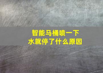 智能马桶喷一下水就停了什么原因