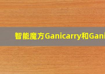 智能魔方Ganicarry和Gani3