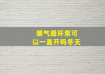 暖气循环泵可以一直开吗冬天