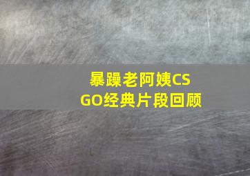 暴躁老阿姨CSGO经典片段回顾