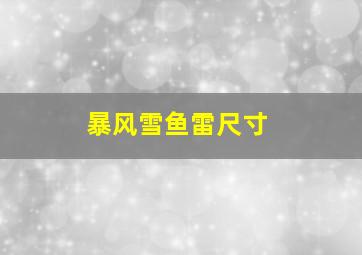 暴风雪鱼雷尺寸