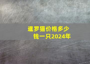 暹罗猫价格多少钱一只2024年