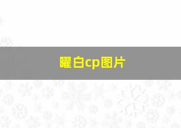 曜白cp图片