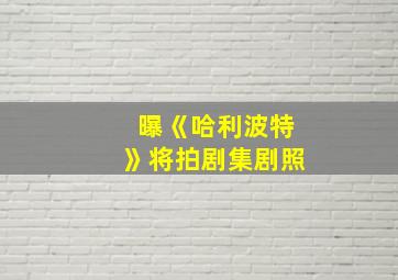 曝《哈利波特》将拍剧集剧照