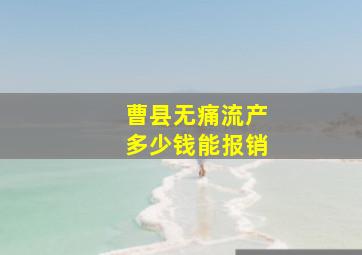 曹县无痛流产多少钱能报销