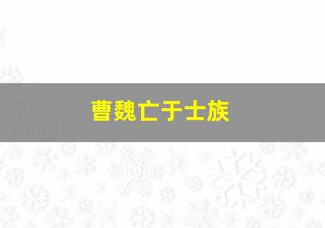 曹魏亡于士族