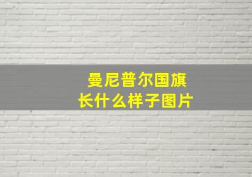 曼尼普尔国旗长什么样子图片