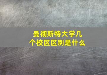 曼彻斯特大学几个校区区别是什么