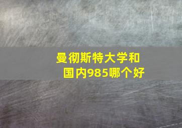 曼彻斯特大学和国内985哪个好