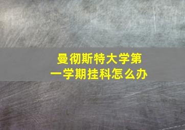 曼彻斯特大学第一学期挂科怎么办